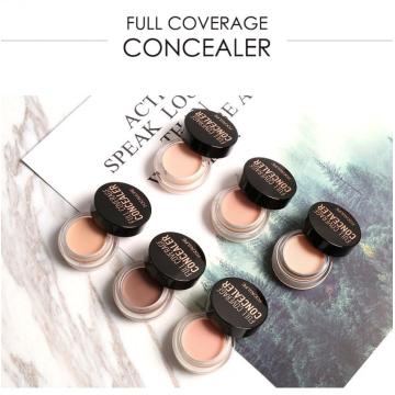1 Pc Full Coverage Concealer Lightweight Waterproof Oil-control Cream Smoothing Highest Coverage Concealer Dropshipping TSLM2