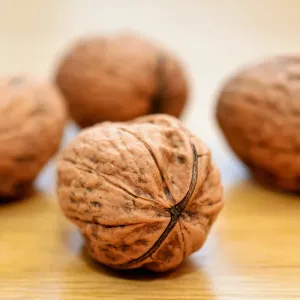 Premium Paper Shell Walnut for Natural Use