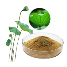 Lotus Leaf Extract Nuciferine 2% 98%