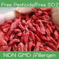 Buy Quality Organic Dried Goji Berries for sale