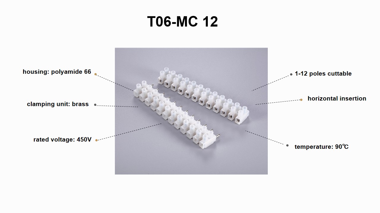 T06-MC12