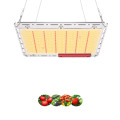 120w 240w diy quantum board led grow light