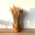 50Pcs/lot Real Wheat Ear Flower include Hand Woven Basket Natural Dried Flowers Wedding Home Decoration Wheat Bouquet