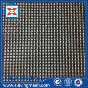 Stainless Steel Security Screen