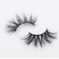 Upper Synthetic Hair Winged lashes natural Plastic Black Terrier Falese lashes make up