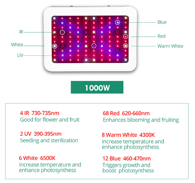 Growing Plants Indoors With Artificial Light