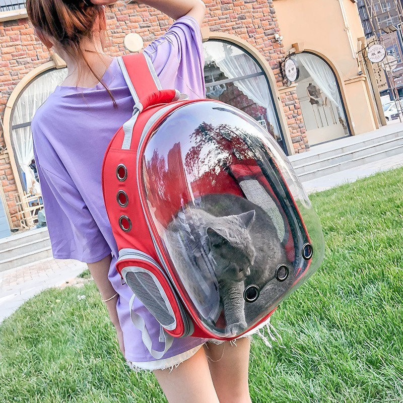 Small Pet Bag Cat Bag Breathable Portable Pet Carrier Bag Outdoor Travel Backpack For Cat And Dog Transparent Space Pet Backpack