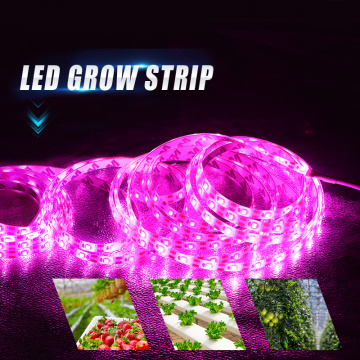 LED Grow Light Full Spectrum 5V USB Grow Light Strip 2835 LED Phyto Lamps For Plants Greenhouse Hydroponic Growing 0.5M 1