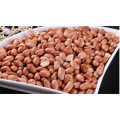 200-300kg/h Dry Soybean Skin Removing automatic Chickpea Almond dry Peeler Peanut Peeling Machine