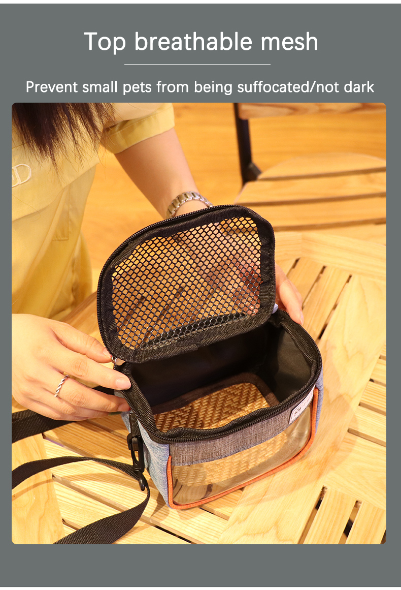 Pet Travel Carrier