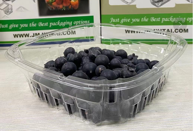 Fruit and Vegetable Plastic Tub