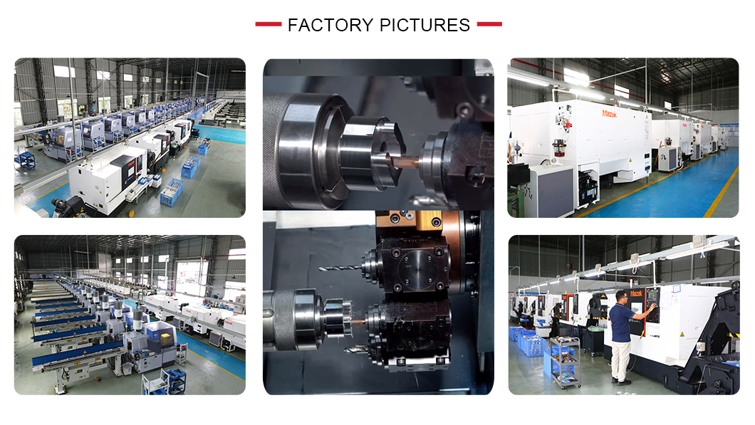 cable Assembly