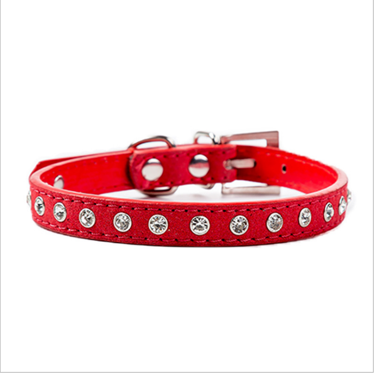 Diamond Dog Collar Amazon