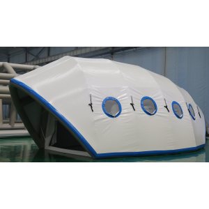 Ladybug-Shaped Inflatable Party Tent for Small Events