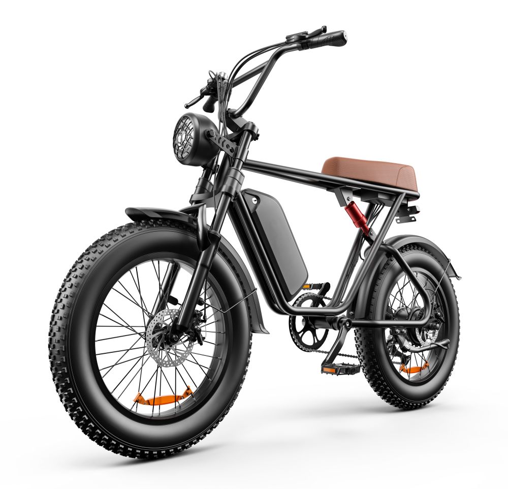 20 Inch Fat Tire Electric Bikes Motorcycle