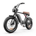 20 Inch Fat Tire Electric Bikes Motorcycle