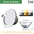 Silver and White 5W