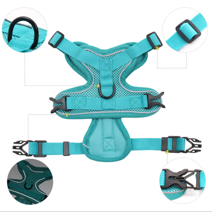 Female Dog Harness And Leash Set