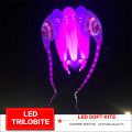 led trilobite kite Soft kite show kite