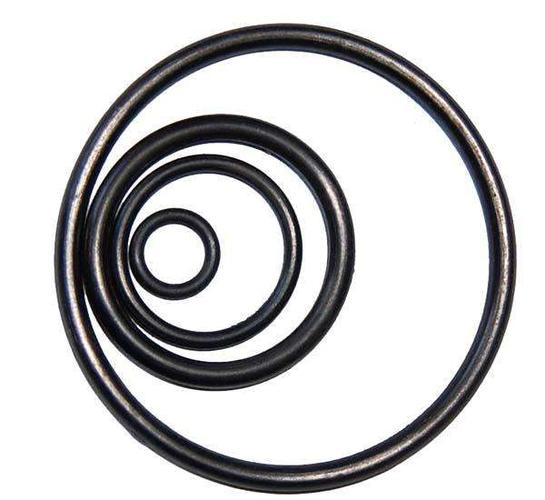 Pump O-Ring .png