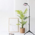 Grow Light With Stand Tripod For Indoor Plants