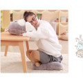 Rectangle Shape Flannel Seat Cushion Silk Cotton Core Hand Warmer Tatami Cushion Pillow Home Decoration Car Office Sofa Cushion