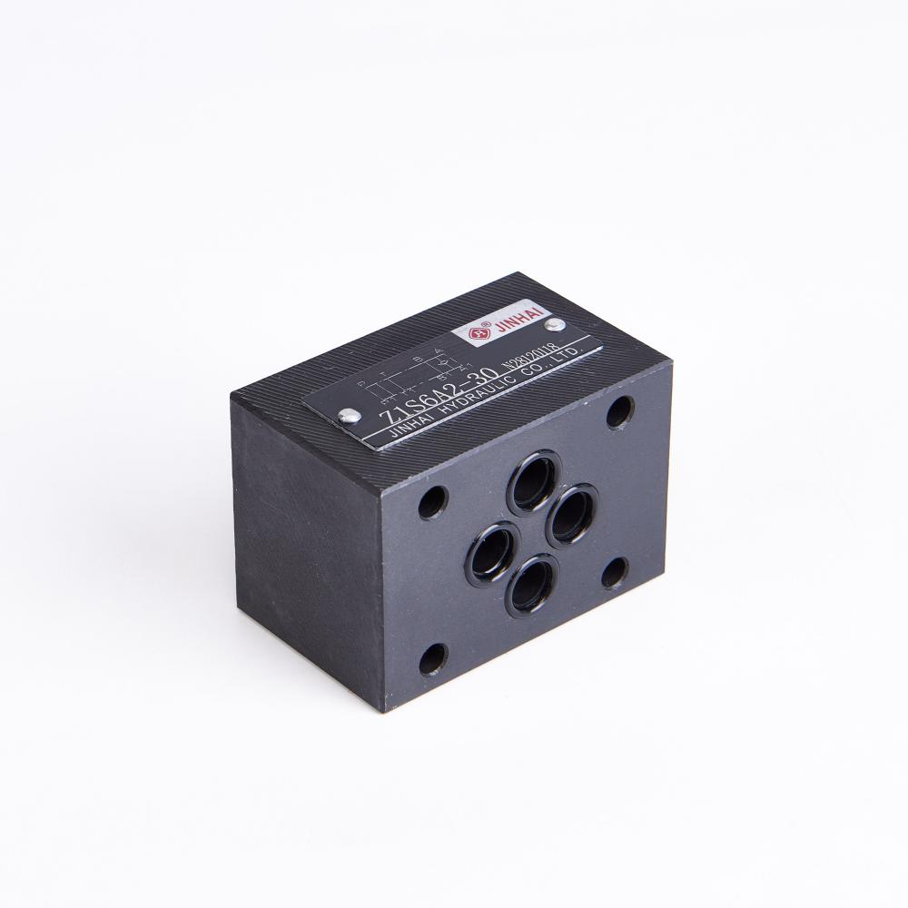 Z1s6a Check Valve 4