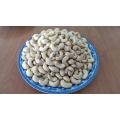raw cashew kernel w240 cashew nut price