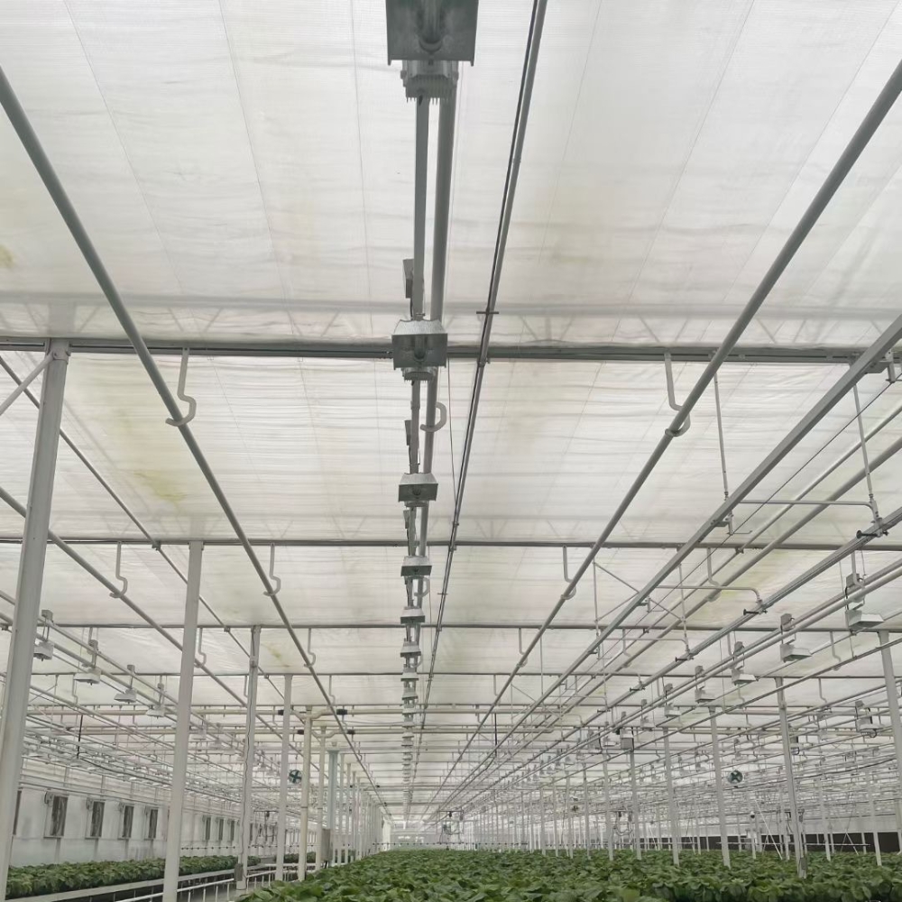 Arched PC Greenhouse