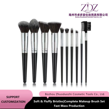 Silver Gray 10Pcs Brush Kit