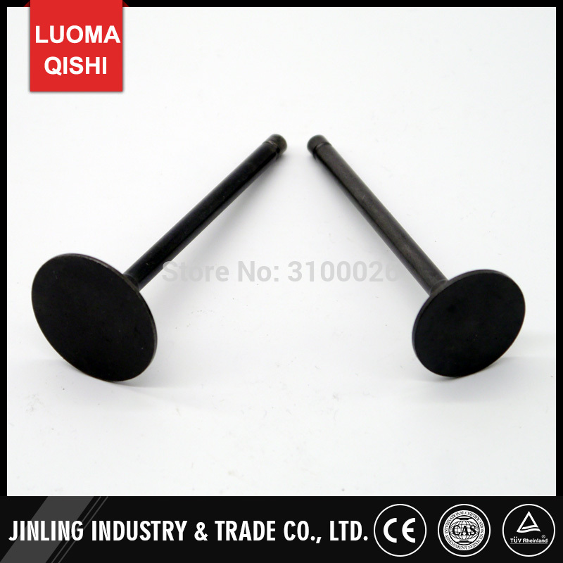 Intake Exhaust Valve Fit For ATV 300cc Engine Jinling JLA-925E JLA-931E Jinlang Buyang Feishen FA-D300 H STELS 300 Quad Parts