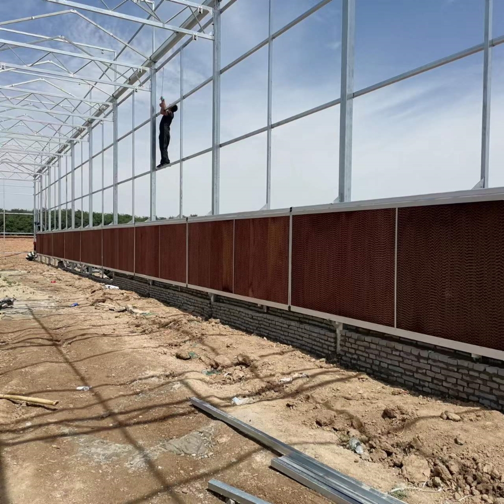 Venlo PC Greenhouse