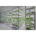 SKYPLANT Smart Grow Shelves/Racks/Rolling Benches with Lifting and Ventilation Functions for Indoor Vertical Farming