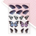 5 butterflies
