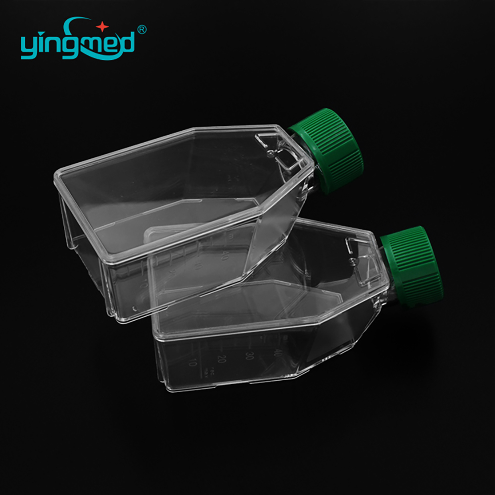 Cell Culture Flask 12