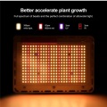 Best LED Grow Light For 5x5 4x4 tent