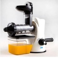 Fruit vegetable citrus low speed juice extractor slow juicer machine