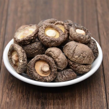 Dried Shiitake Mushrooms Wholesale Dried Sweet Mushrooms