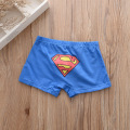 5pcs/lot Kids Boys Underwear Cartoon Children's Shorts Panties for Baby Boy Boxers Panty Teenager Underpants 2-14T BU013