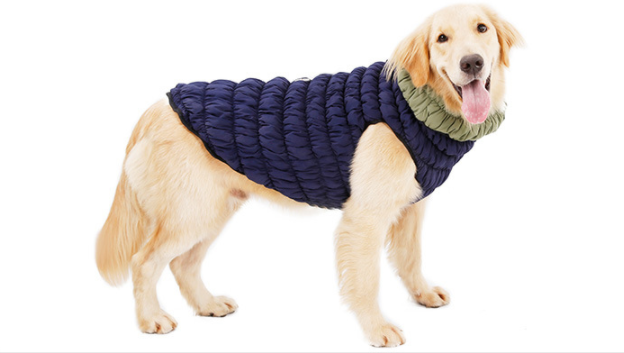 Dog Jacket Walmart