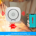 Security Home Smart Life Tuya WIFI Kitchen Combustible Gas Leak Detector Network Natural Gas Sensor LPG Leaking Alarm Detector