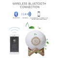 islam Wireless Bluetooth Speakers Quran Player Colorful Light Moon Lamp Moonlight Support MP3 FM TF Card veilleuse coranique