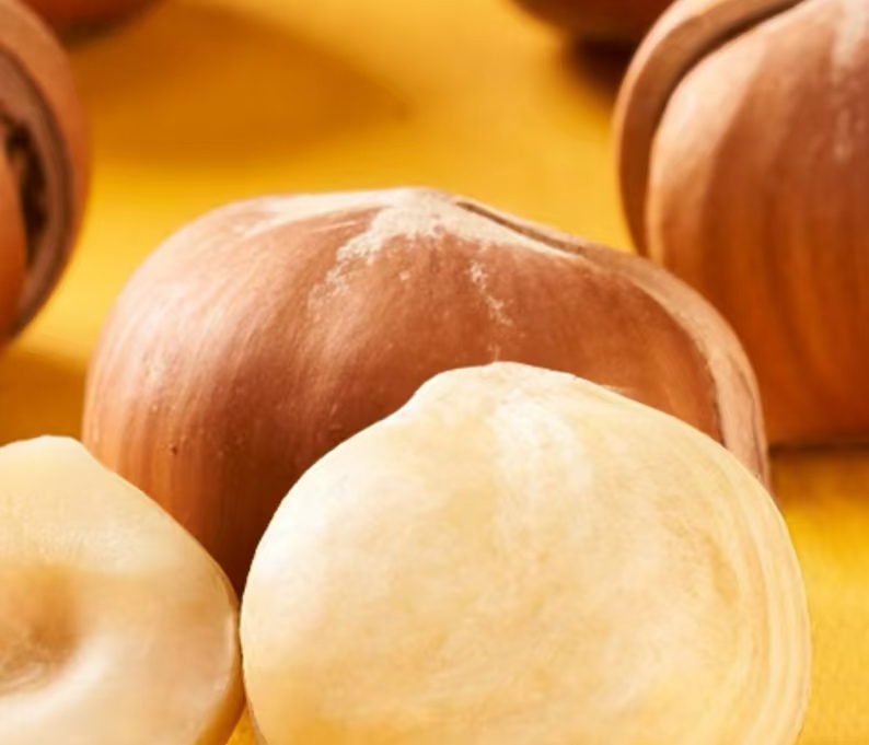 Delicious Hazelnut Kernel Products