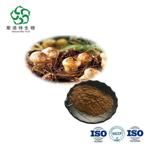 Best Price Tricholoma Matsutake Extract for Sale, Offer Best Price Tricholoma Matsutake Extract