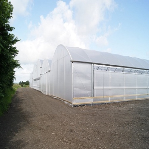 Reinforced Commercial Plastic Greenhouse with Equipment Manufacturers and Reinforced Commercial Plastic Greenhouse with Equipment Suppliers