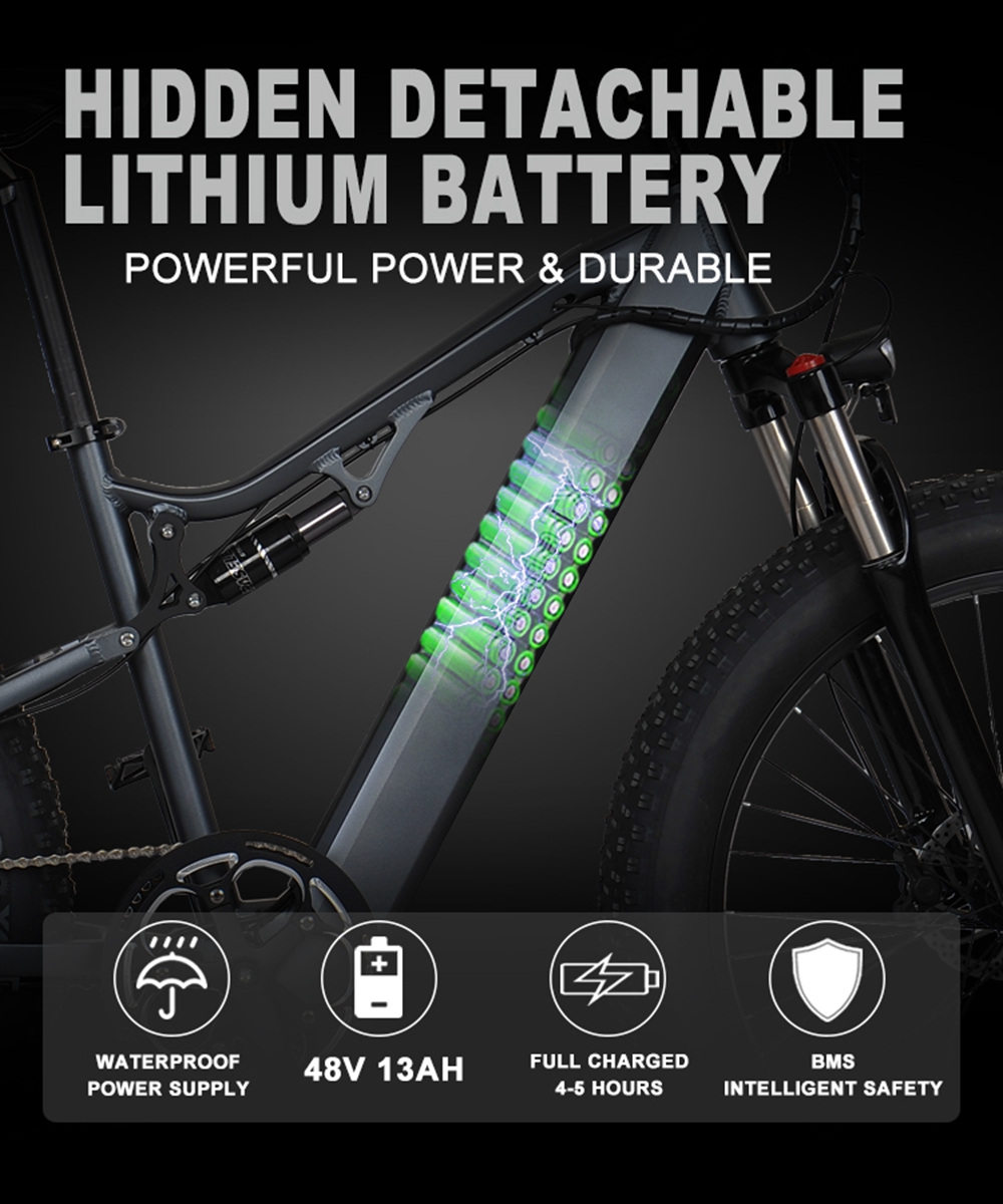 Low Carbon Electric Fat Tire Bike