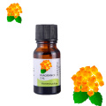 30ml Natural Tea Tree Essential Oil Diffuser Sandalwood Pure Essential Oils Vanilla Mint Frankincense Bergamot Eucalyptus Oil