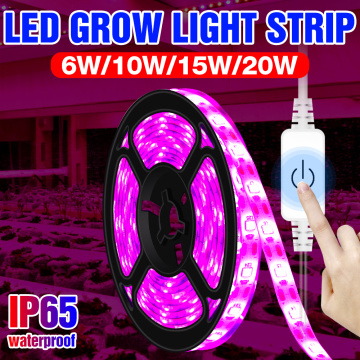 Touch Dimming Plant Grow Light LED Full Spectrum Indoor Phyto Growing Lamp Strip 0.5M 1M 2M 3M Flower Seed Lampara USB Fitolampy
