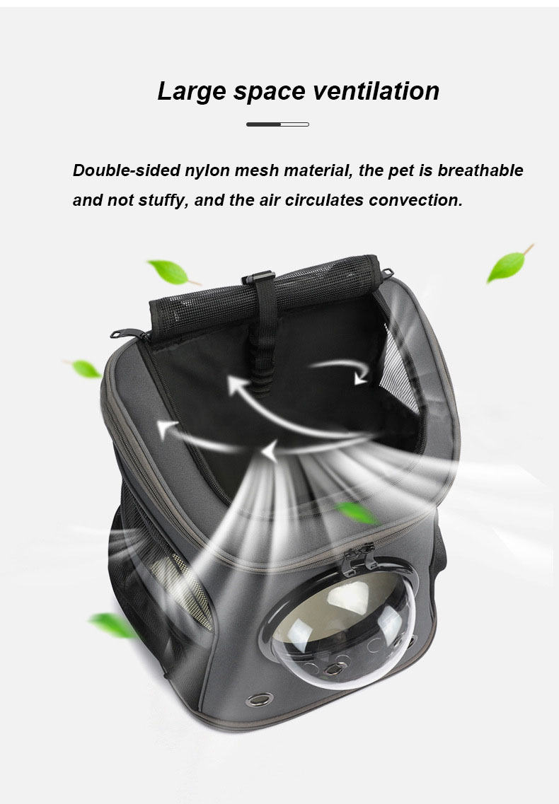 Pet Travel Carrier