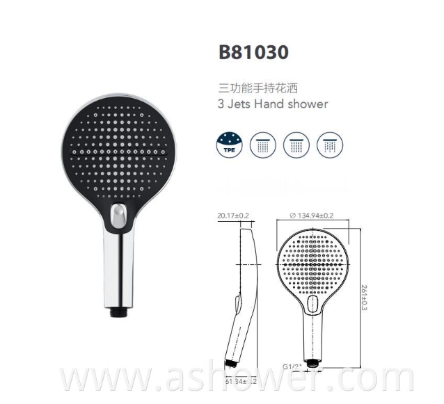Three-Function Hand Shower